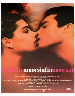 Amor sin fin (1981)