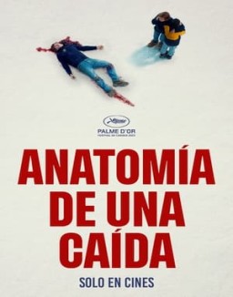 Anatomía de una caída