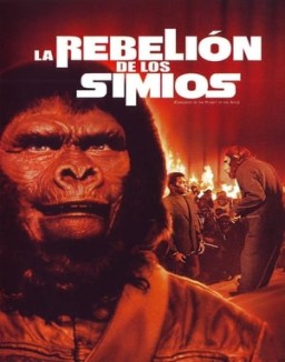 La rebelión de los simios