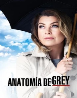 Anatomía de Grey