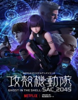 Ghost in the Shell: SAC_2045